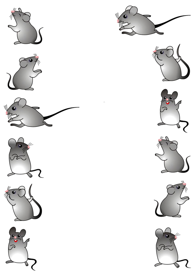 Найти мышей