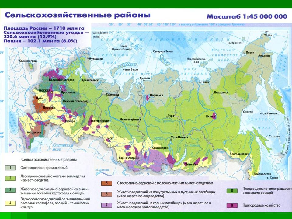 Отметьте на карте хозяйственные зоны россии. Сельскохозяйственные районы России на контурной карте. Районы пригородного сельского хозяйства в России на карте. Специализация сельского хозяйства России карта. Развитие сельского хозяйства России карта.