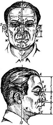 Лба 2 8. Точки головы габитоскопия. Антропометрические точки лица. Рисунок антропометрических точек на лице. Антропометрические головы.