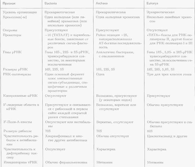 Генетика для школьников в картинках и схемах Биология, Генетика, Подготовка к эк