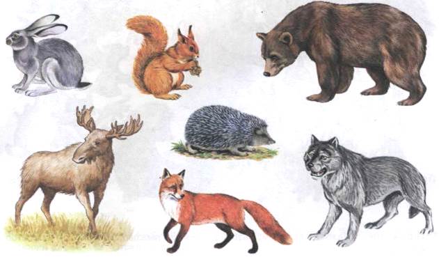 Картинки по запросу "картинка дикие животные для детей""