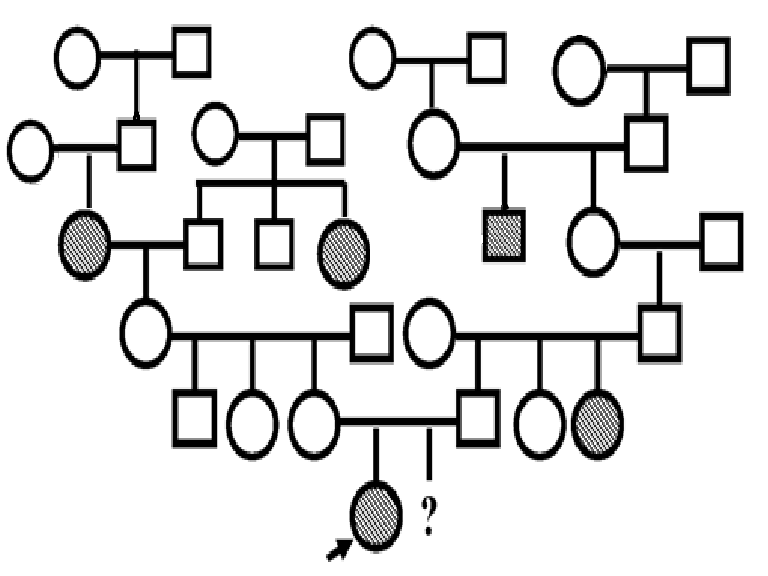 Генетика деревьев. Родословная семьи генеалогический метод. Генеалогический метод рисунок. Графический метод генеалогического древа. Генетическое Древо родства.
