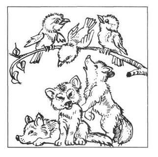 На площадке молодняка играли 5 волчат. Волчонок раскраска для детей. Скороговорка были волчата в гостях. Скороговорка про волчат. Галчата и волчата.