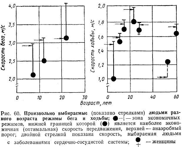 Оптимальная скорость движения. Дифференциальная биомеханика. Процесс созревания это в биомеханике. График скорости в биомеханике. Биомеханика принцип минимум энергозатрат это.