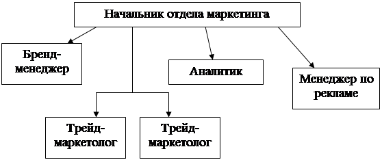 Отдел маркетинга структура должности схема