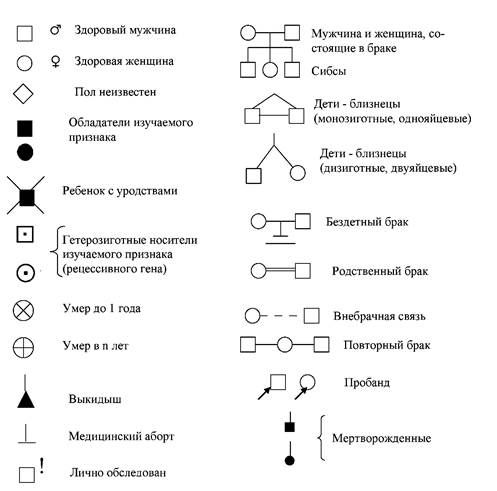 Родословная биология схема