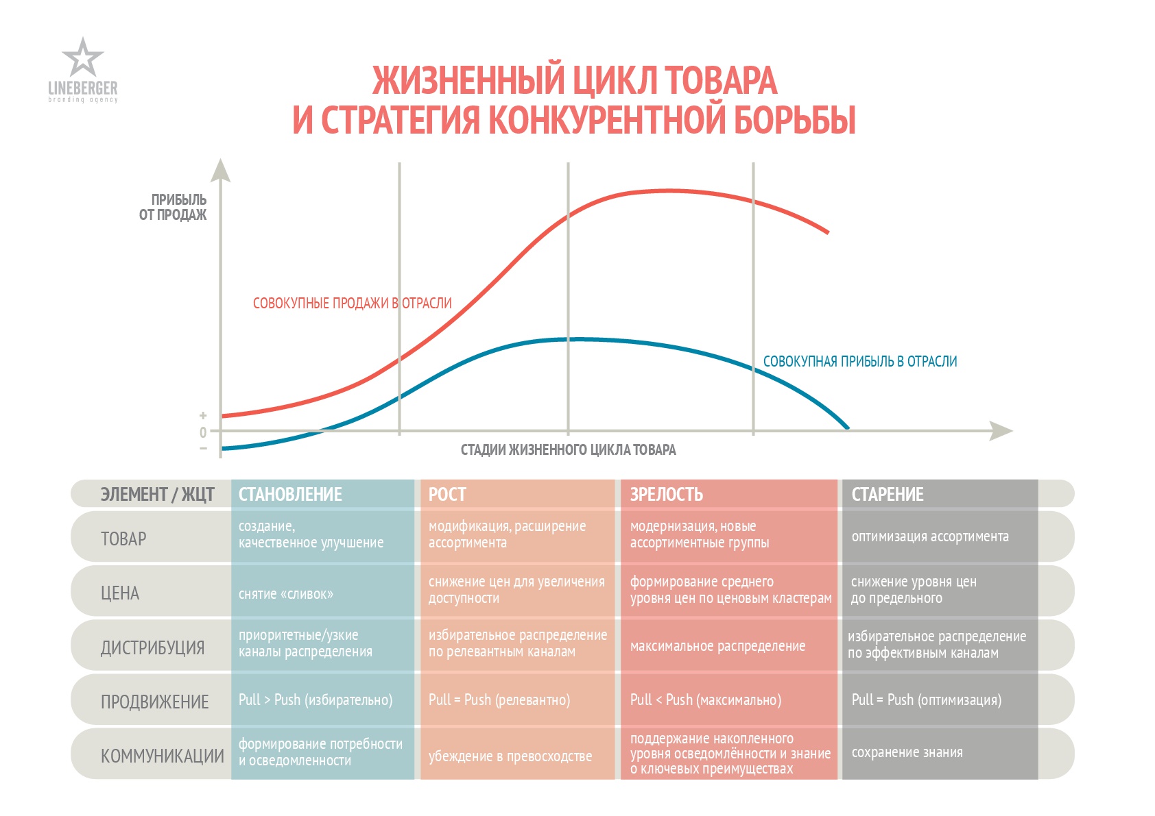 Определите особенности жизненного цикла