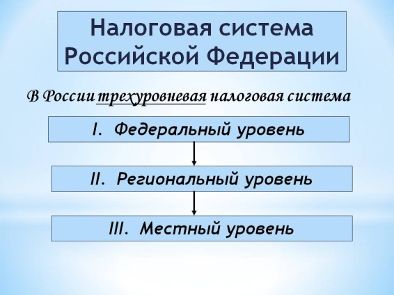 Налоговая система в рф проект