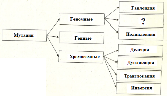 Рассмотрите предложенную схему классификации мутаций запишите в ответе пропущенный термин