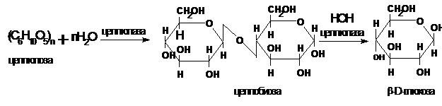 Целлюлоза вступает в гидролиз. Схема ферментативного гидролиза целлюлозы. Ферментативный гидролиз целлюлозы. Кислотный гидролиз целлюлозы. Гидролиз целлюлозы формула.