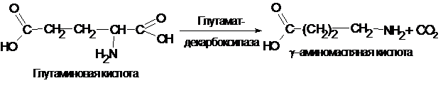 Изобразите схему реакции получения лактама 4 аминомасляной кислоты