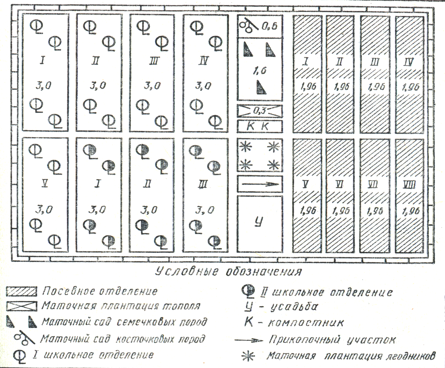 Лесной питомник схема