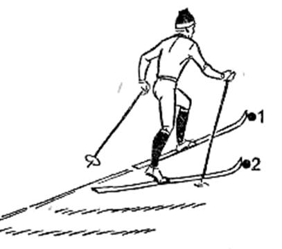 Ход елочка. Подъем полуелочкой на лыжах. Подъем полуелочкой на лыжах техника. Полуелочкой шаг на лыжах. Техника подъема на лыжах Полуелочка.