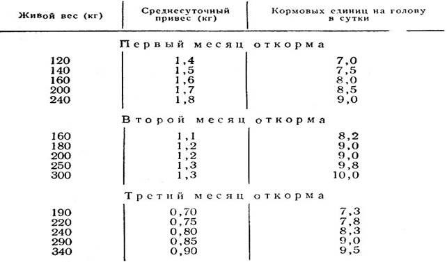 Откорм свиней схема кормления