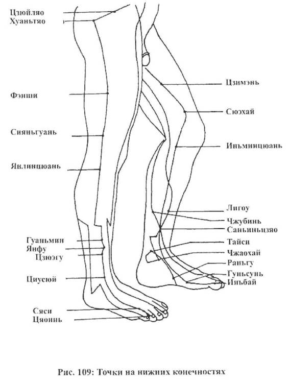 Часть ноги на б. Название частей ноги. Нога название частей ноги. Название частей стопы. Части человеческой ноги названия.