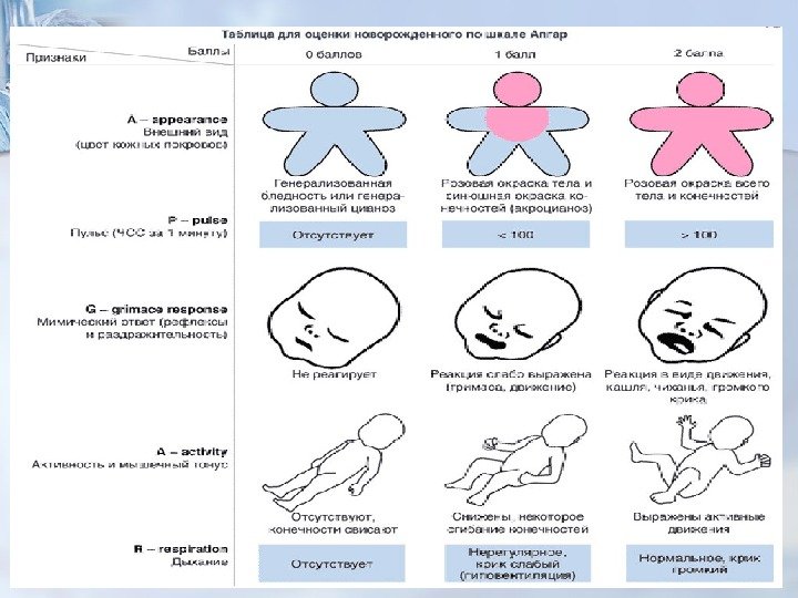 Оценка состояния новорожденного по шкале апгар первичный туалет новорожденных