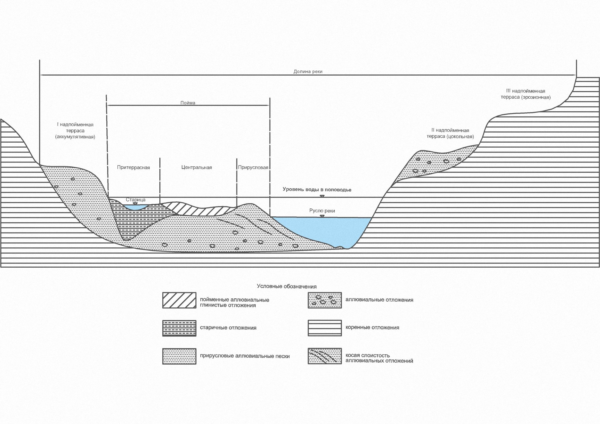Пойма реки что это простыми словами. Разрез Речной Долины схема. Поперечный разрез Речной Долины. Разрез русла реки поперечный. Русло реки Пойма Речная Долина.
