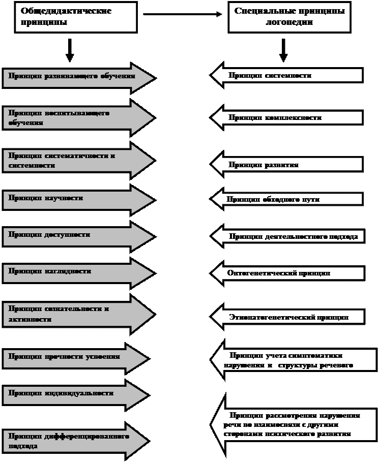 Принципы логопедической