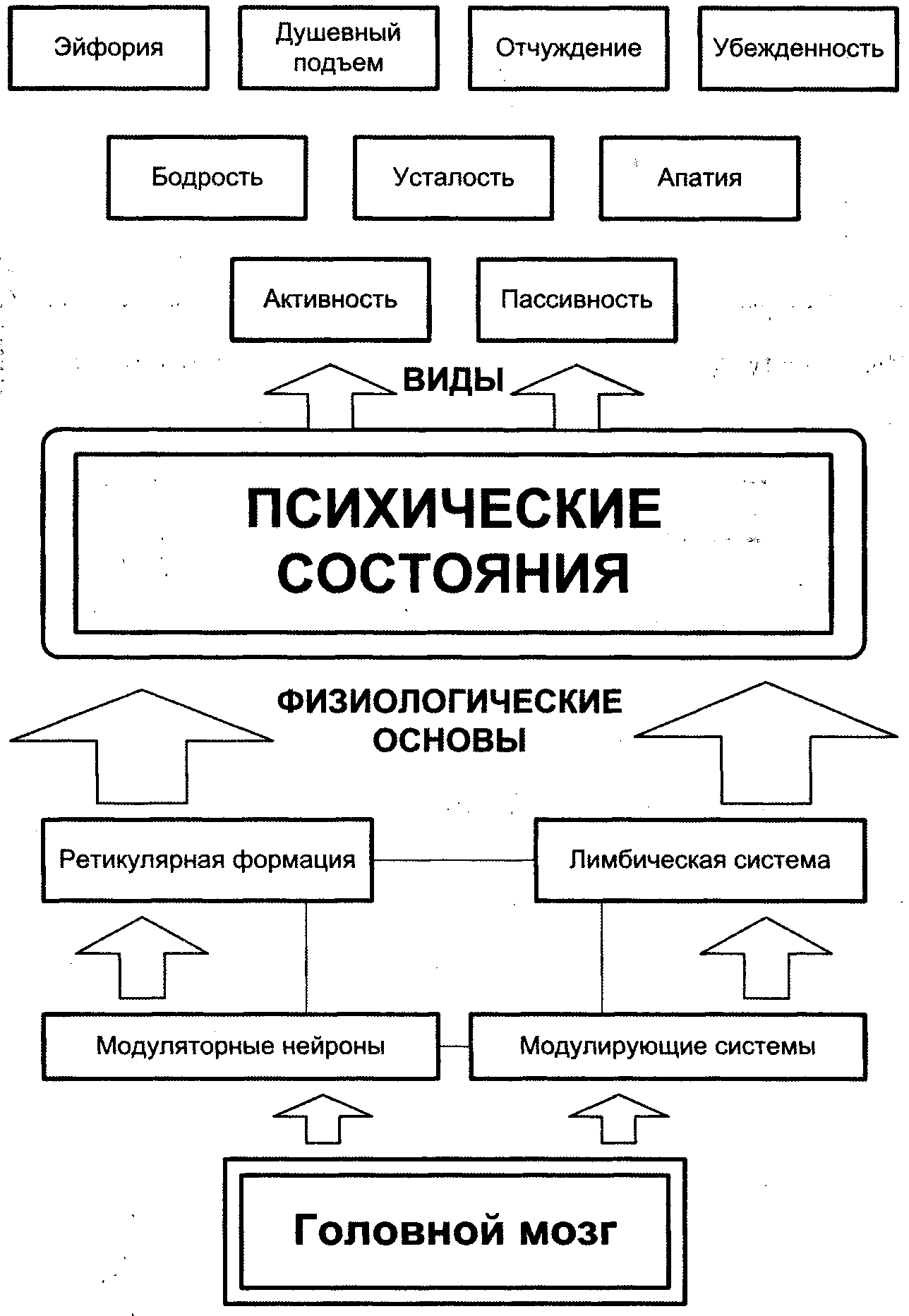 Общая психология в схемах и таблицах