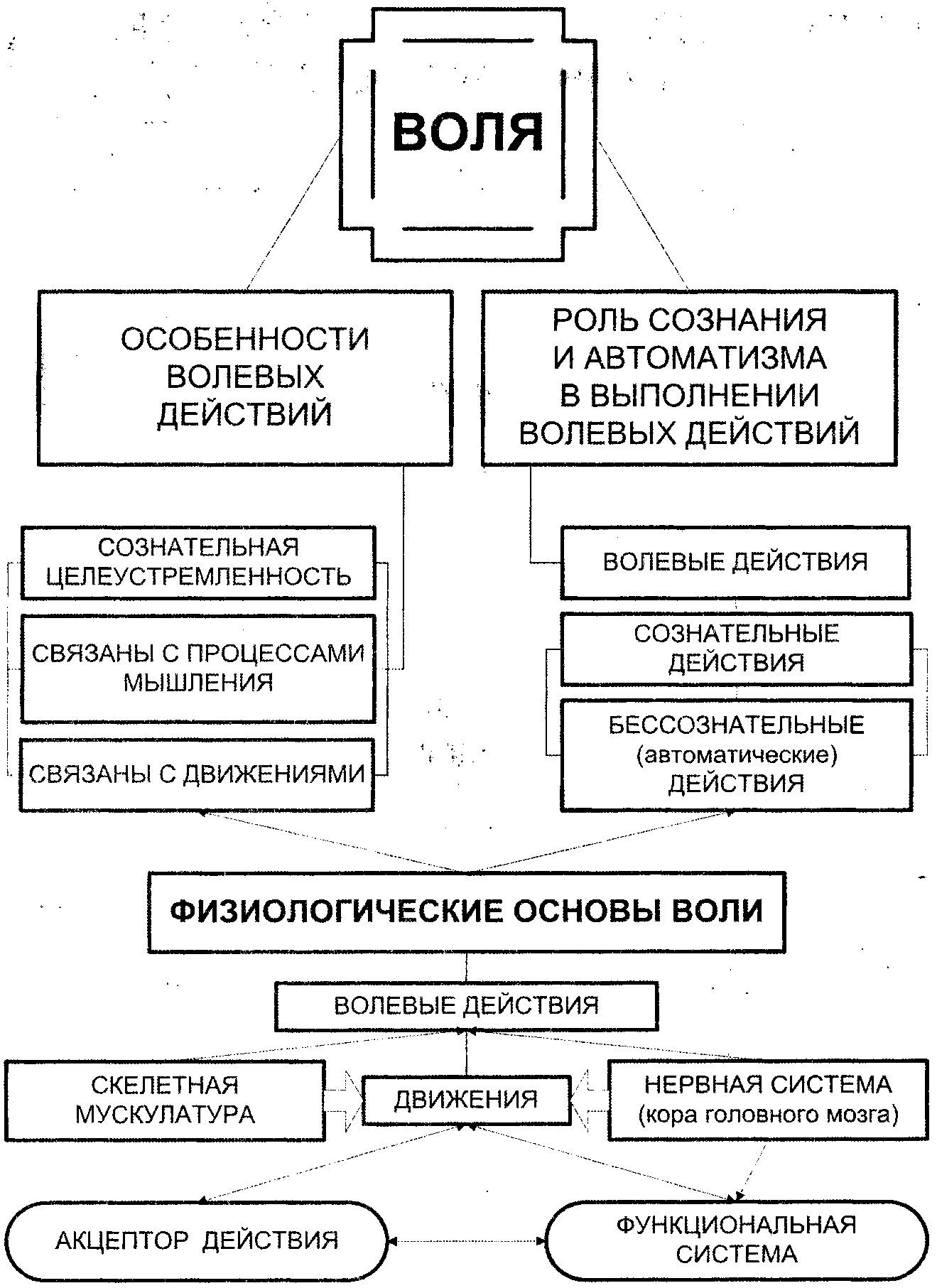 Схема функции воли