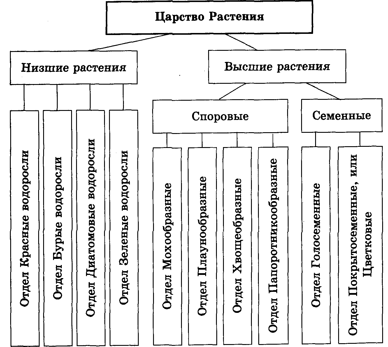 Схема растений низшие высшие