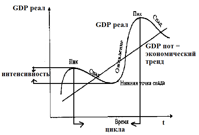 Экономическая динамика общества