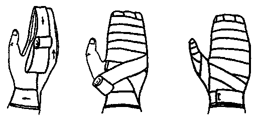 Рыцарская перчатка алгоритм