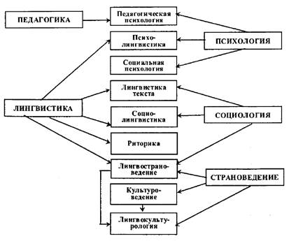 Схема взаимодействия психолингвистики с другими областями знания