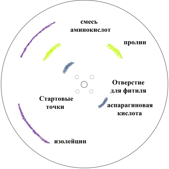 Радиальные диаграммы спиральные