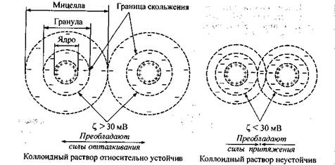 Схема строения мицеллы