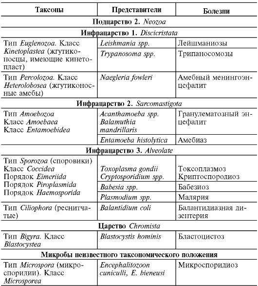 Дизентерийная амеба систематика. Кишечная амеба систематика. Таблица простейшие паразиты человека дизентерийная амеба. Классификация простейших микробиология. Дизентерийная амеба классификация.