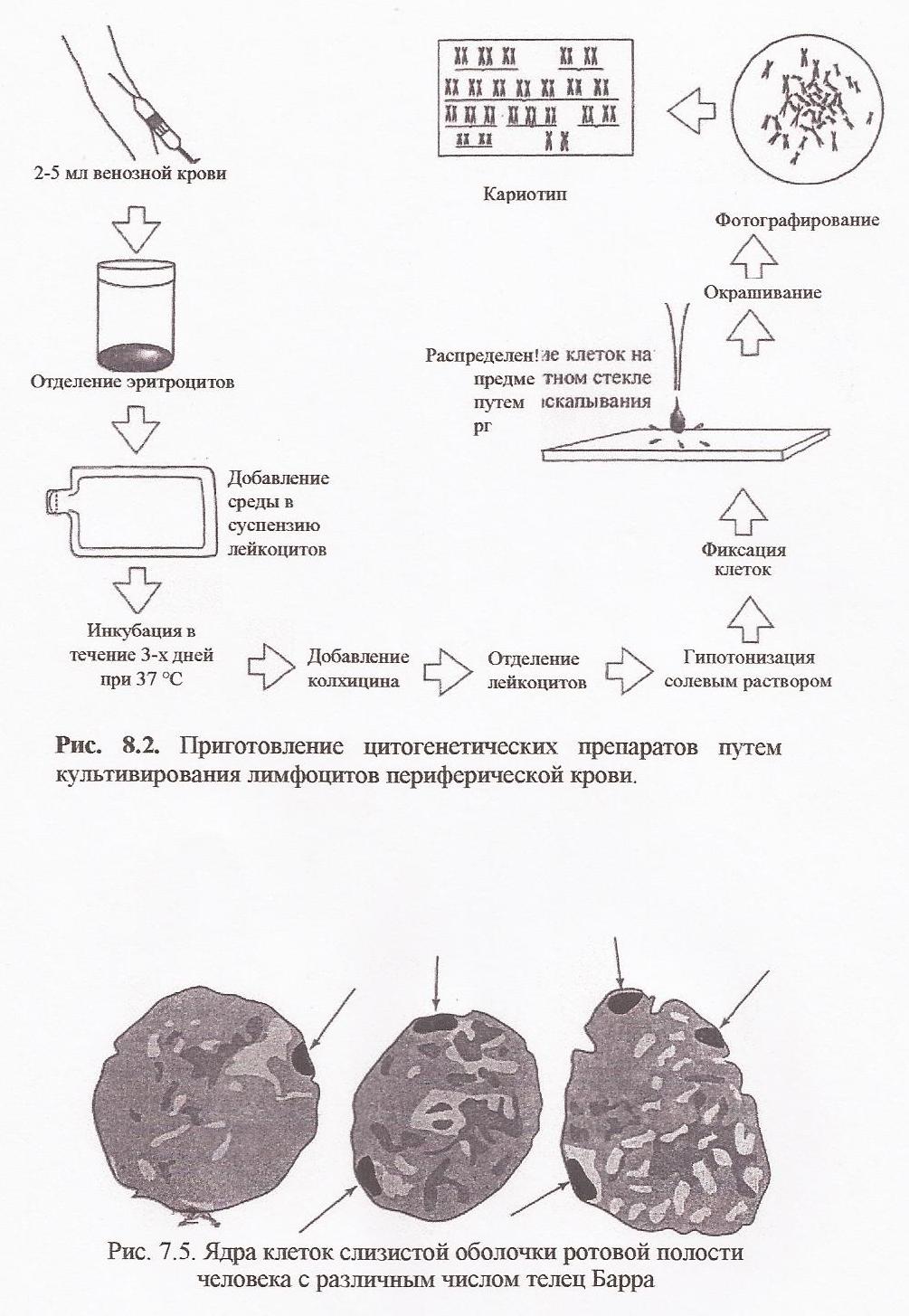 Результаты проекта геном человека