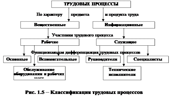 Виды трудовых процессов