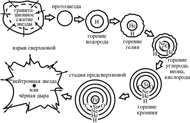 Путь жизни звезды. Жизненный цикл звезды схема. Жизненный цикл звезд схема астрономия. Цикл эволюции звезд. Этапы жизненного цикла звезды.