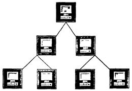 Реферат: Возможные типы локальных сетей в офисе фирмы