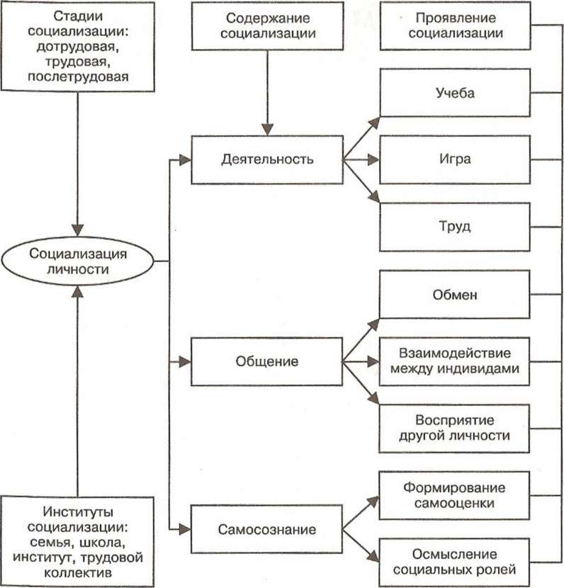 Стадия схема. Социализация личности схема. Схема процесса социализации личности. Этапы социализации личности схема. Факторы социализации личности схема.