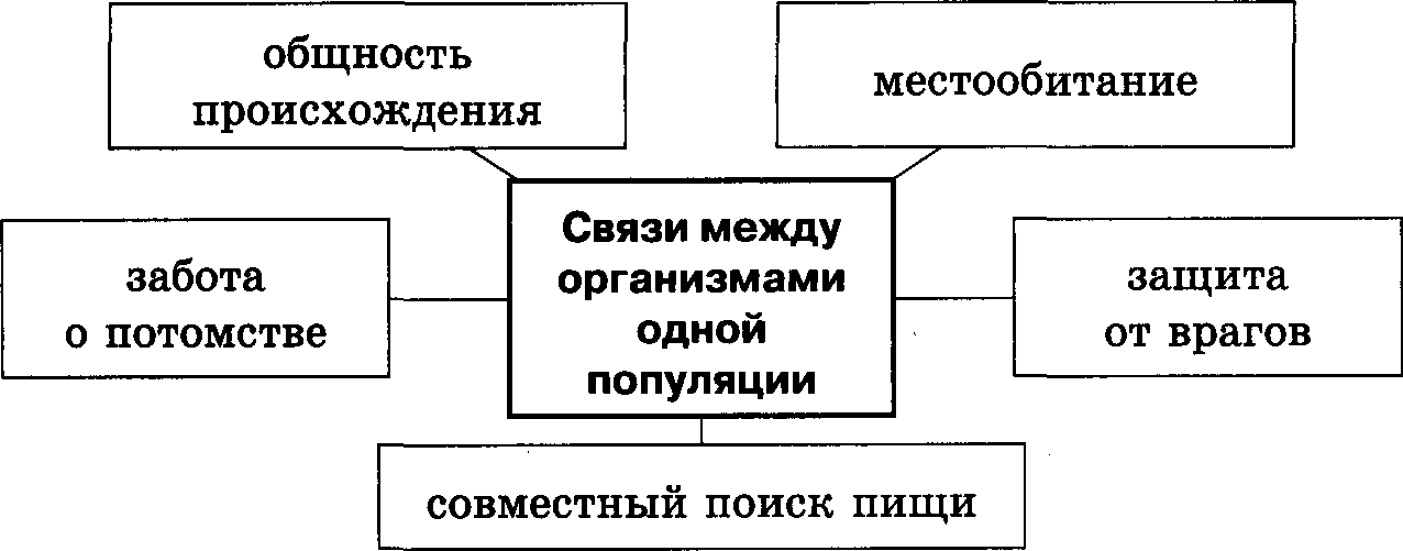 На рисунке представлена схема видообразования по ч дарвину какой эволюционный процесс