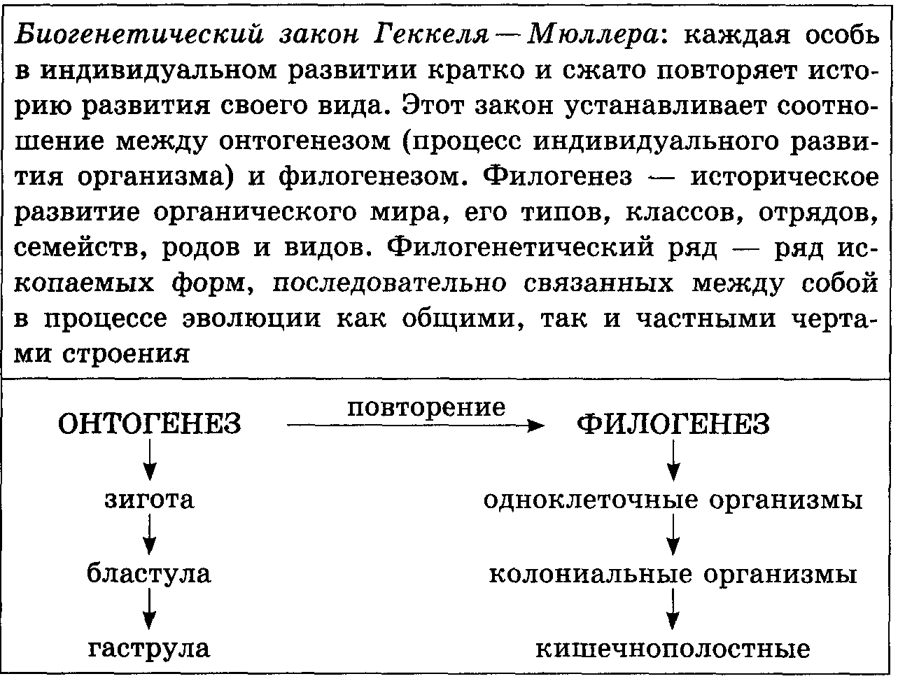 На рисунке представлена схема видообразования по ч дарвину какой эволюционный процесс