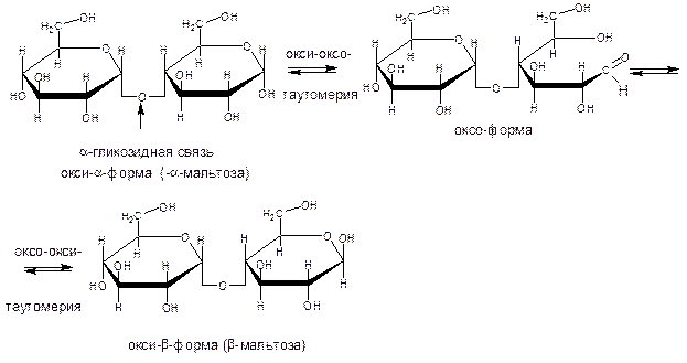 Мутаротация фруктозы схема