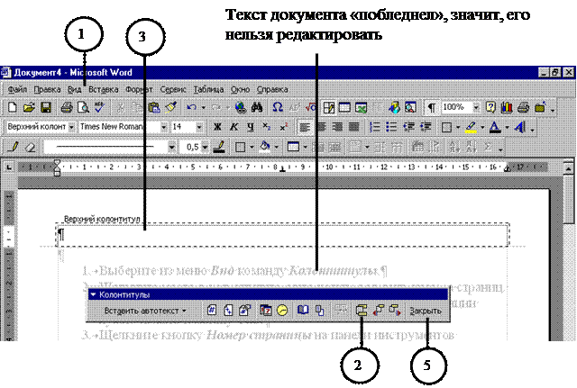 Текстовые редакторы колонтитулы