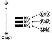 Характеристика изоферментного спектра креатинкиназы