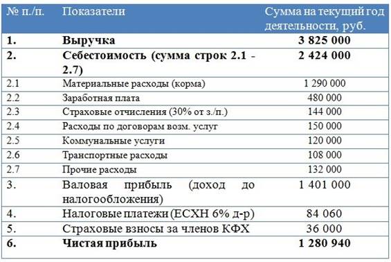 Готовый бизнес-план для социального контракта - образец и …