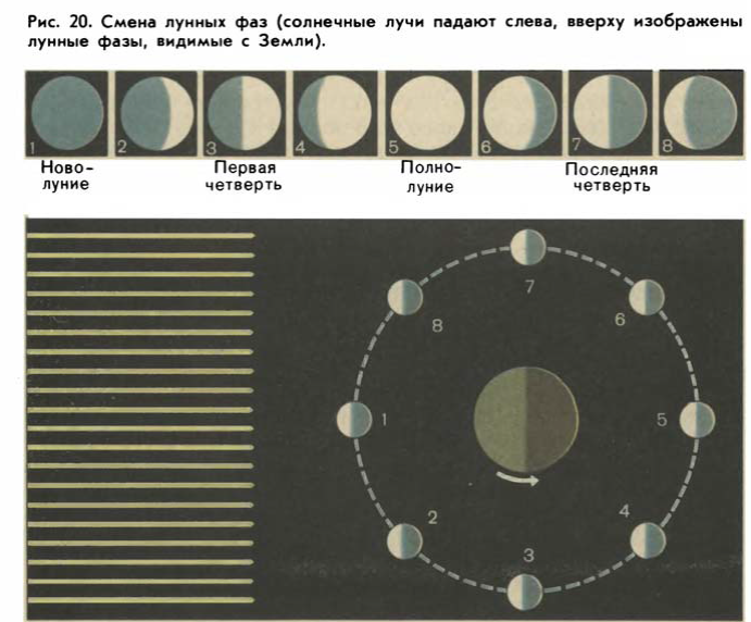 12 новолуний. Фазы Луны. Изменение лунных фаз. Смена фаз Луны. Цикл смены лунных фаз.