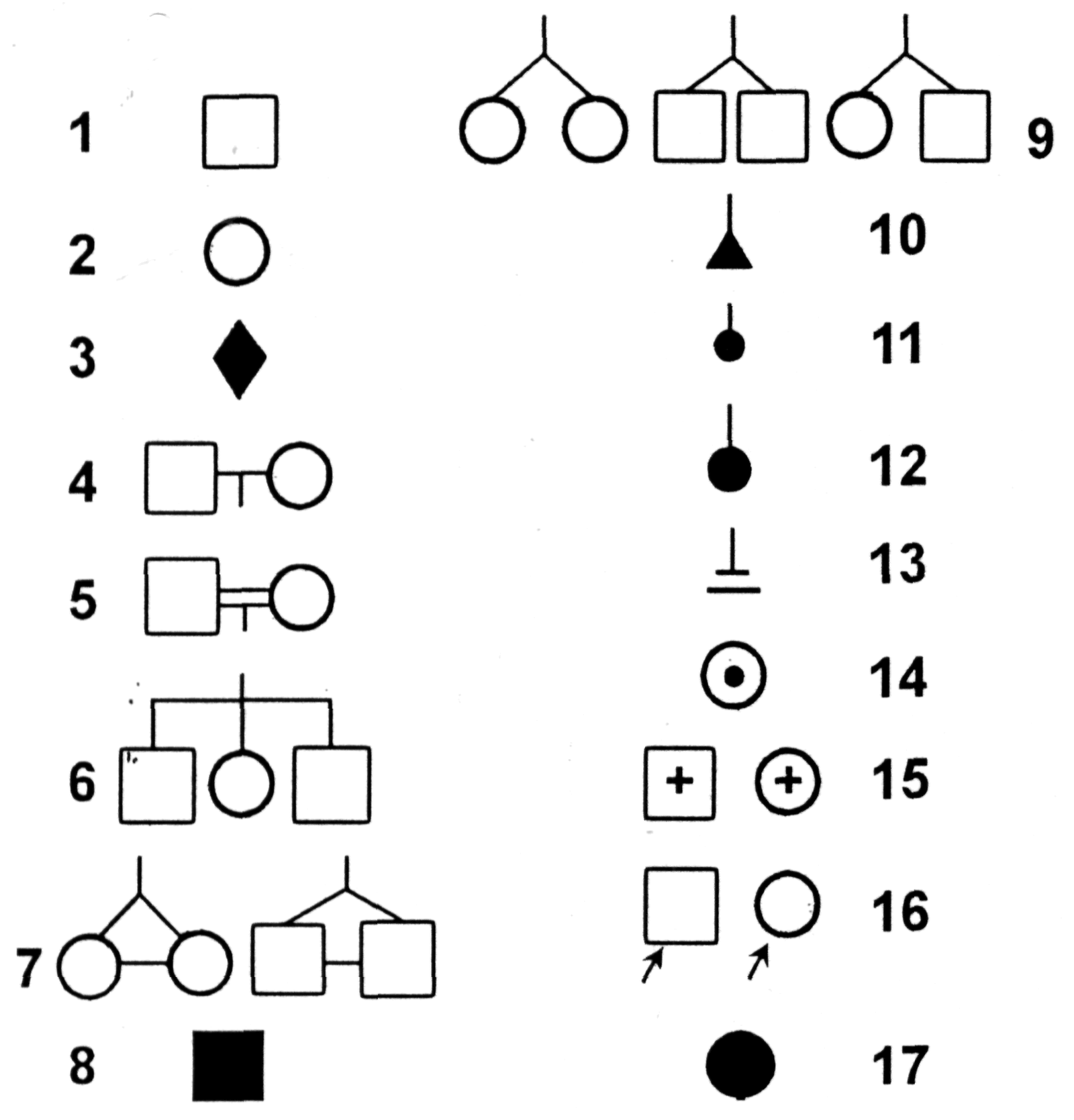 Условные обозначения в генеалогическом древе. Графическое изображение родословной. Значки для родословной. Составление родословной. Символы для составления родословной.