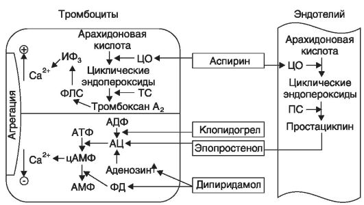 Схема общая фармакологическая характеристика средств влияющих на тромбообразование