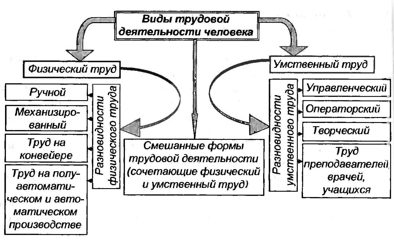 Трудовая деятельность и ее организация. Виды трудовой деятельности человека схема. Формы физического труда БЖД. Классификация основных форм трудовой деятельности человека. Виды и условия трудовой деятельности БЖД.