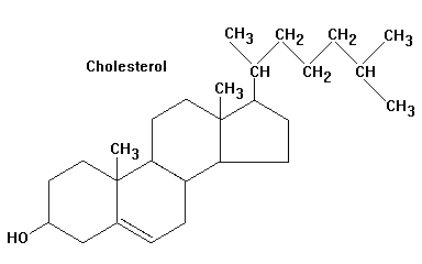 Холестерол формула биохимия