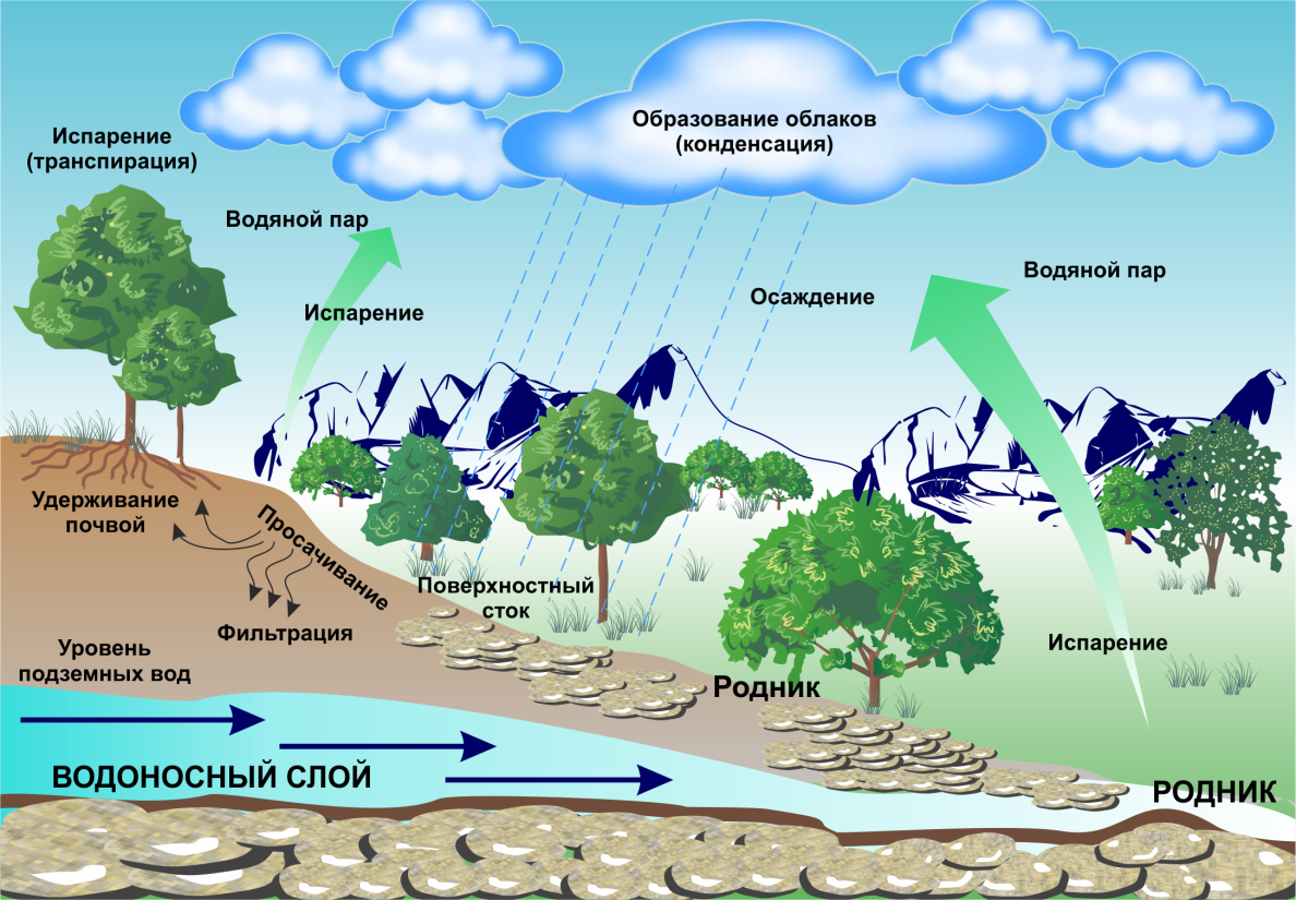 Процессы образования облаков. Круговорот воды подземные воды. Поверхностные воды схема. Поверхностный Сток воды. Круговорот воды в природе подземные воды.