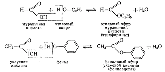 Муравьиная кислота этиловый эфир муравьиной кислоты реакция