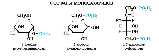 Фруктоза взаимодействует с. 6 Фосфат д глюкопираноза. 6 Фосфат Альфа д глюкопираноза. Альфа д глюкопираноза с фосфорной кислотой. Окисление фосфатов моносахаридов.